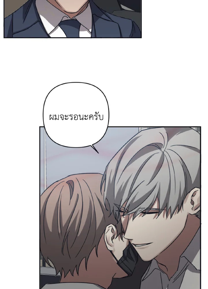 Guilty Affection 26 50