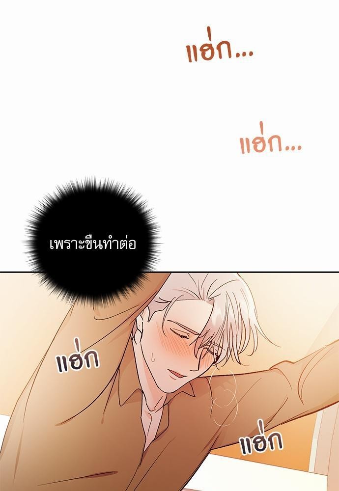 เน€เธชเธทเธญเธเธขเนเธณเธเธฑเธเธ—เธฃเน 29 09