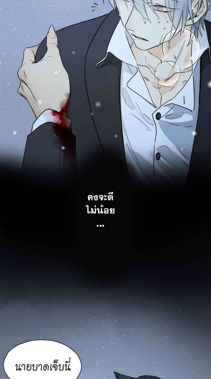 เธเธเธฃเธฑเธเนเธซเนเธเธญเธญเธเธฑเธช51 49