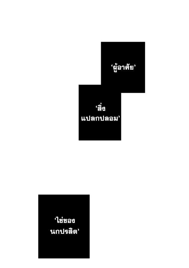 The Shape of Sympathy 29 20