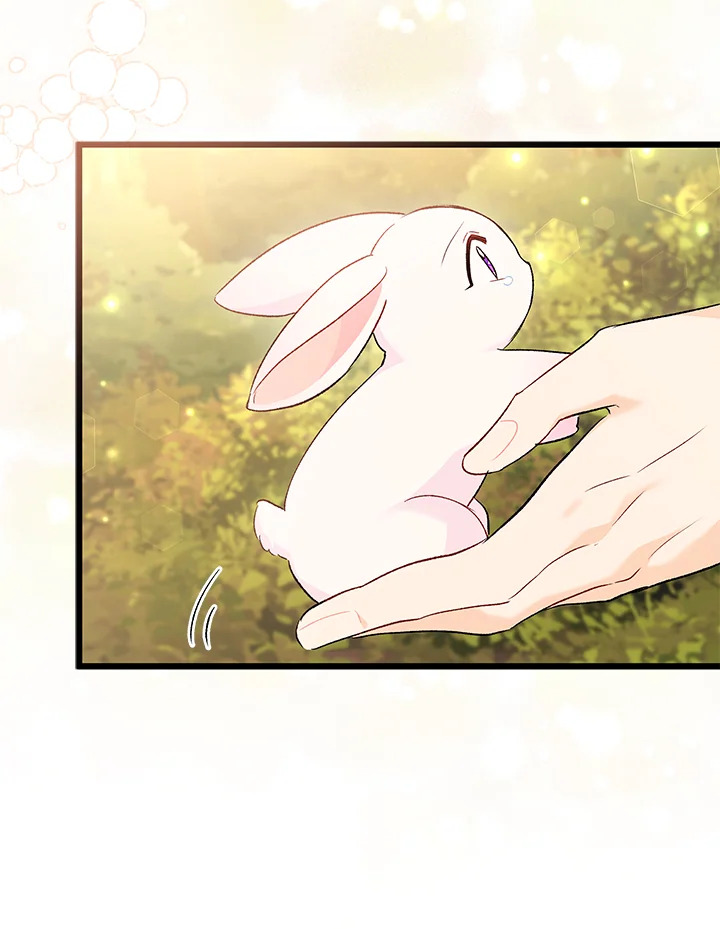 The Symbiotic Relationship Between a Panther and a Rabbit 81 138