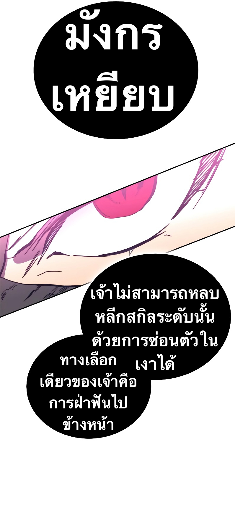 X Ash 56 (26)