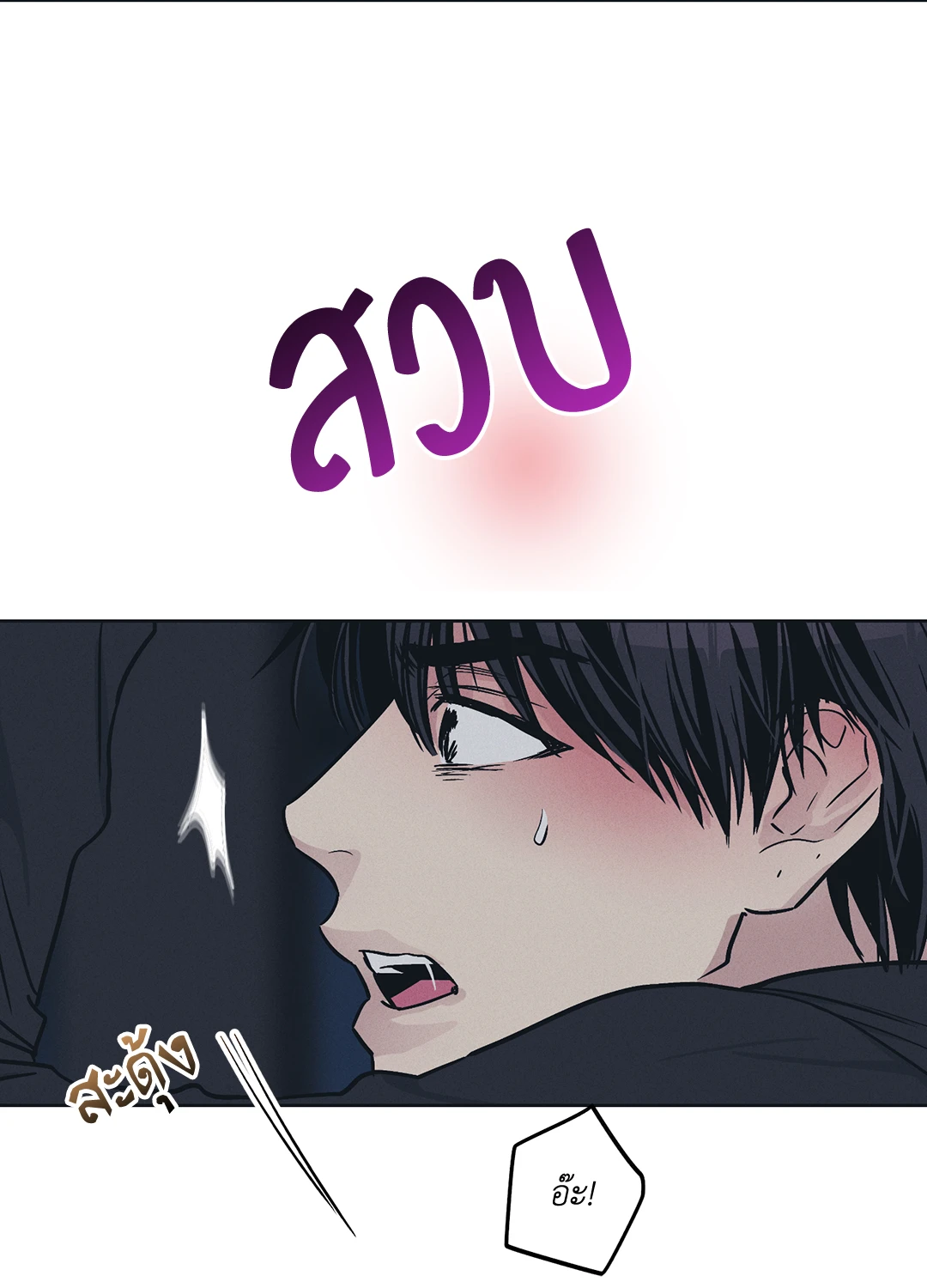 Payback 44 31