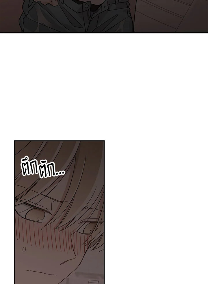 Shuffle 14 37
