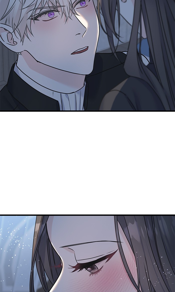 Crows Like Things That Sparkle 79 (68)