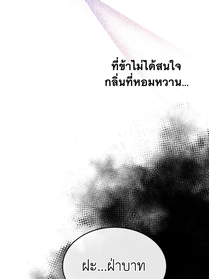 Fever 31 12