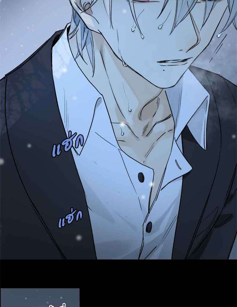 เธเธเธฃเธฑเธเนเธซเนเธเธญเธญเธเธฑเธช51 55