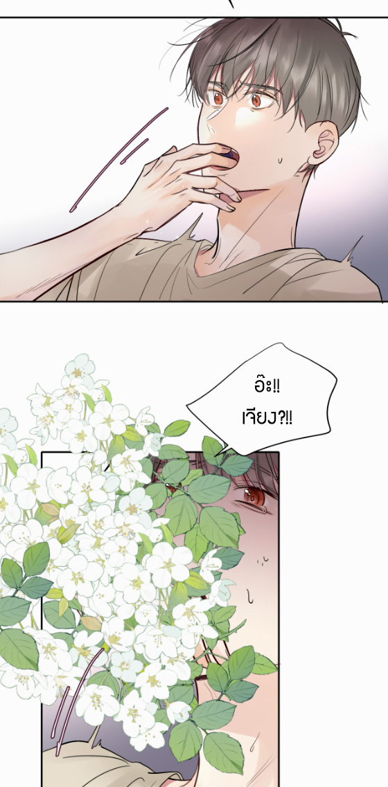 ไถ่บาป 15 20