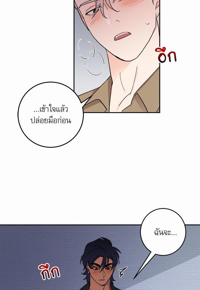 เน€เธชเธทเธญเธเธขเนเธณเธเธฑเธเธ—เธฃเน 29 24