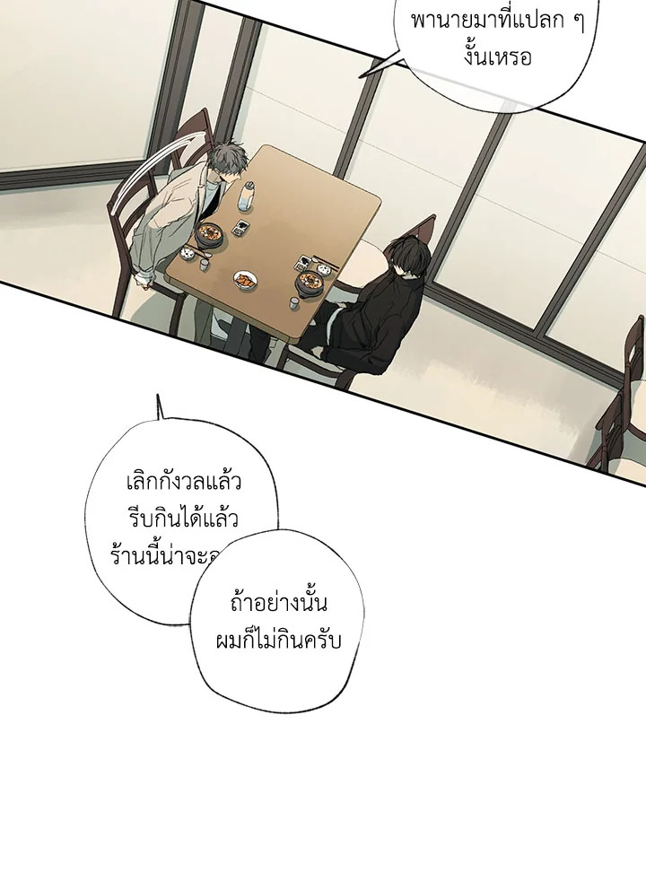 The Shape of Sympathy 30 06