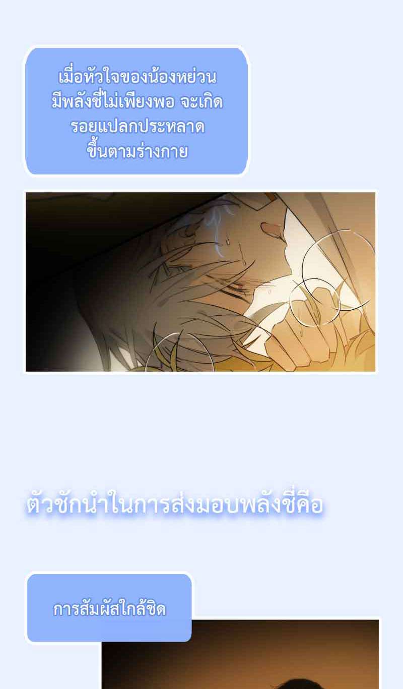 กฎรักแห่งออกัส64 36