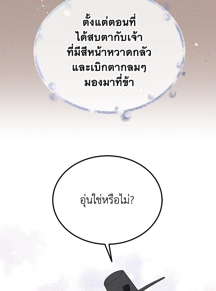 Fever 48 53