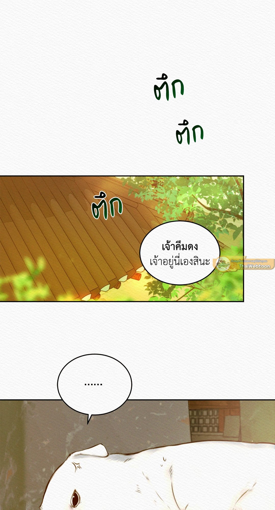 Night Song 26 31