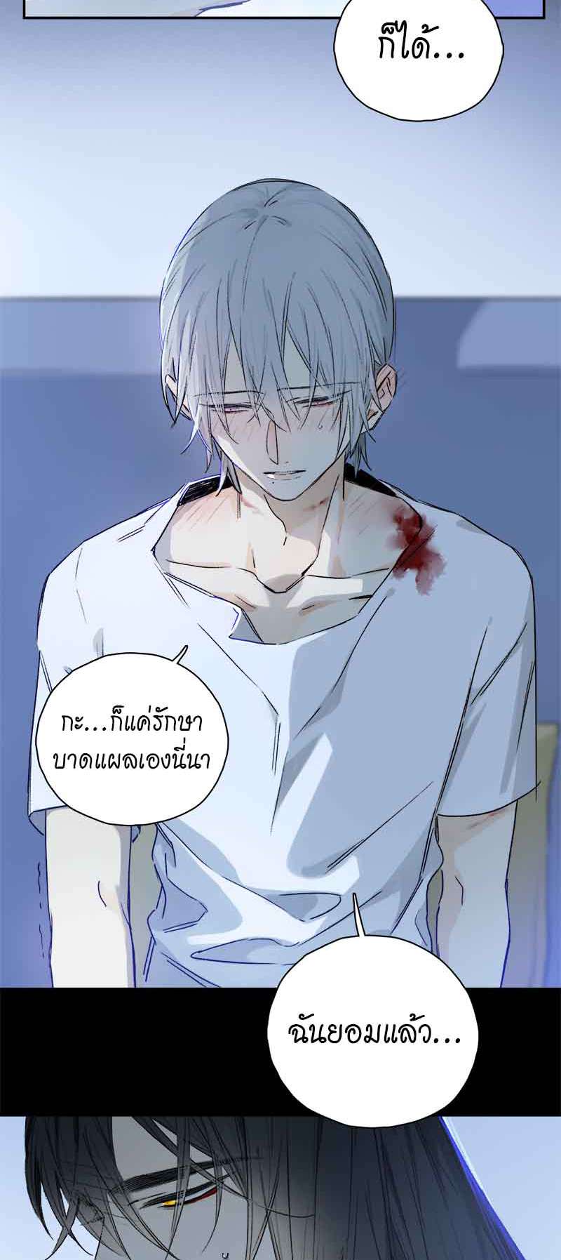 กฎรักแห่งออกัส80 08