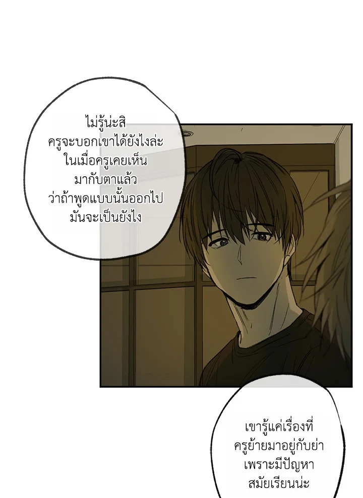 The Shape of Sympathy 49 26