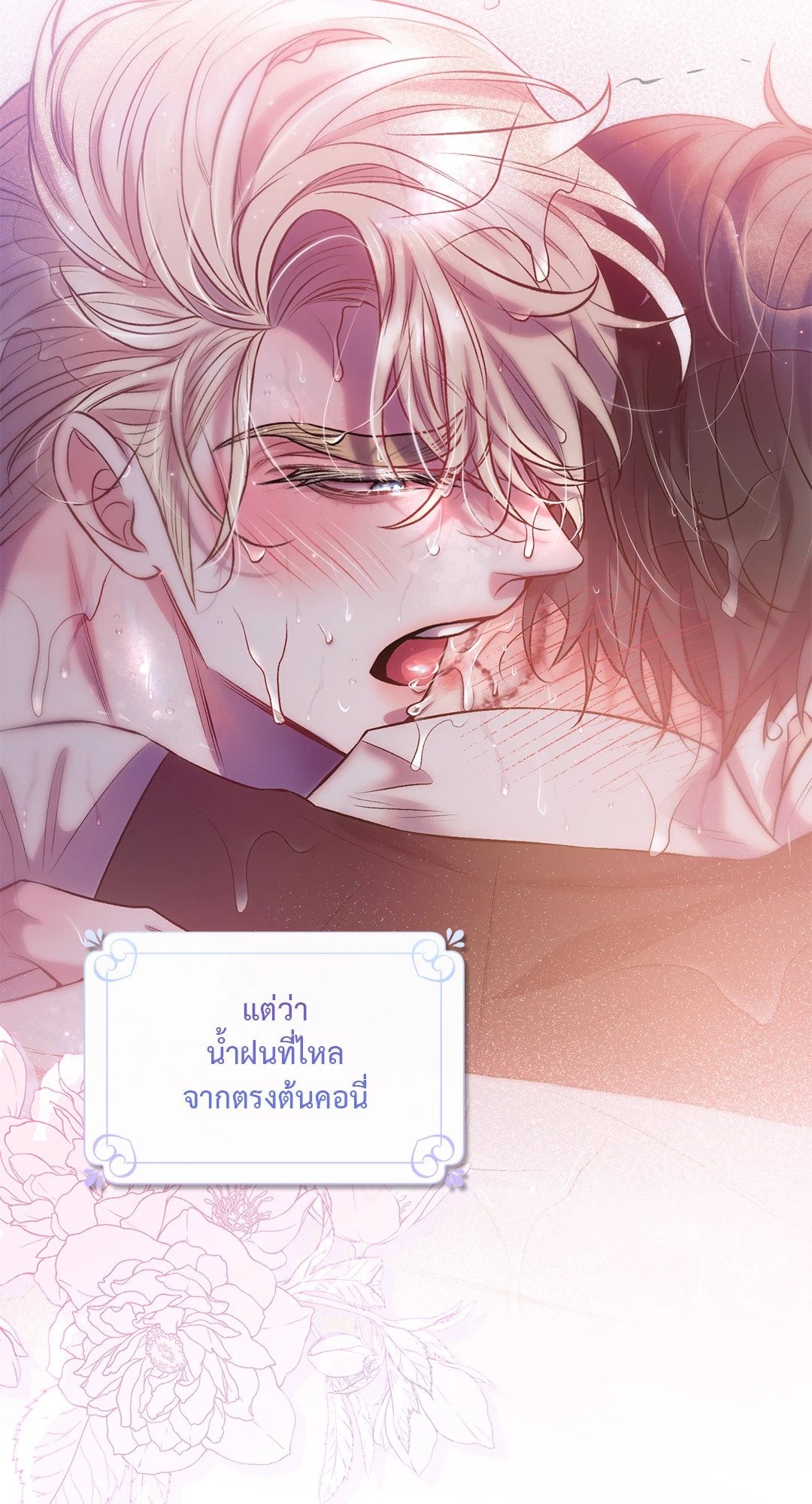 Sugar Rain 27 090