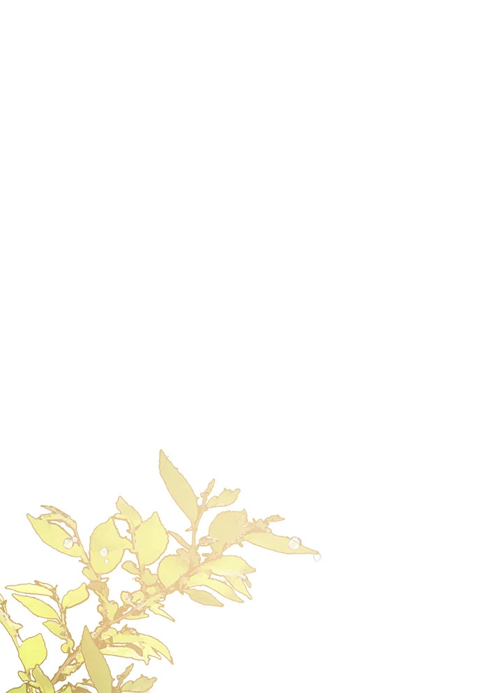 The Villainess Is Shy in Receiving Affection 13 024