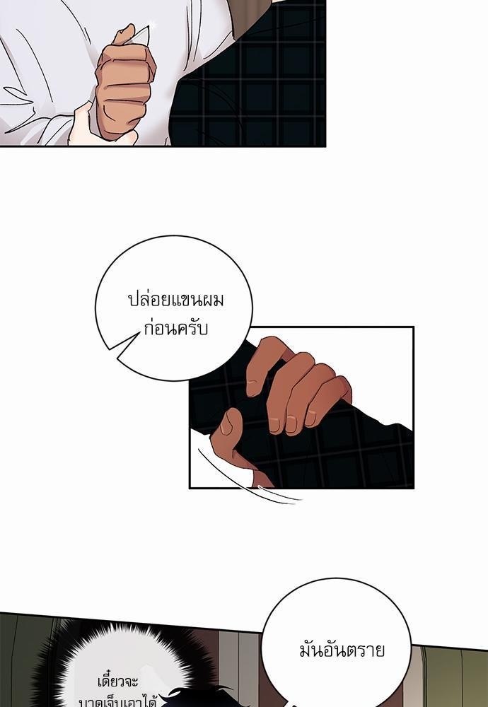 เสือขย้ำจันทร์ 13 17