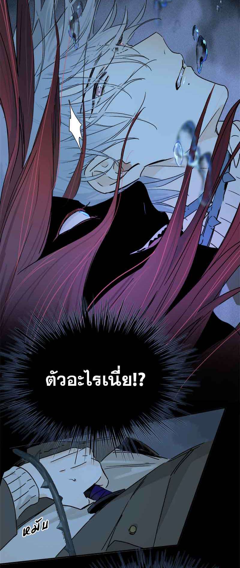 กฎรักแห่งออกัส66 23