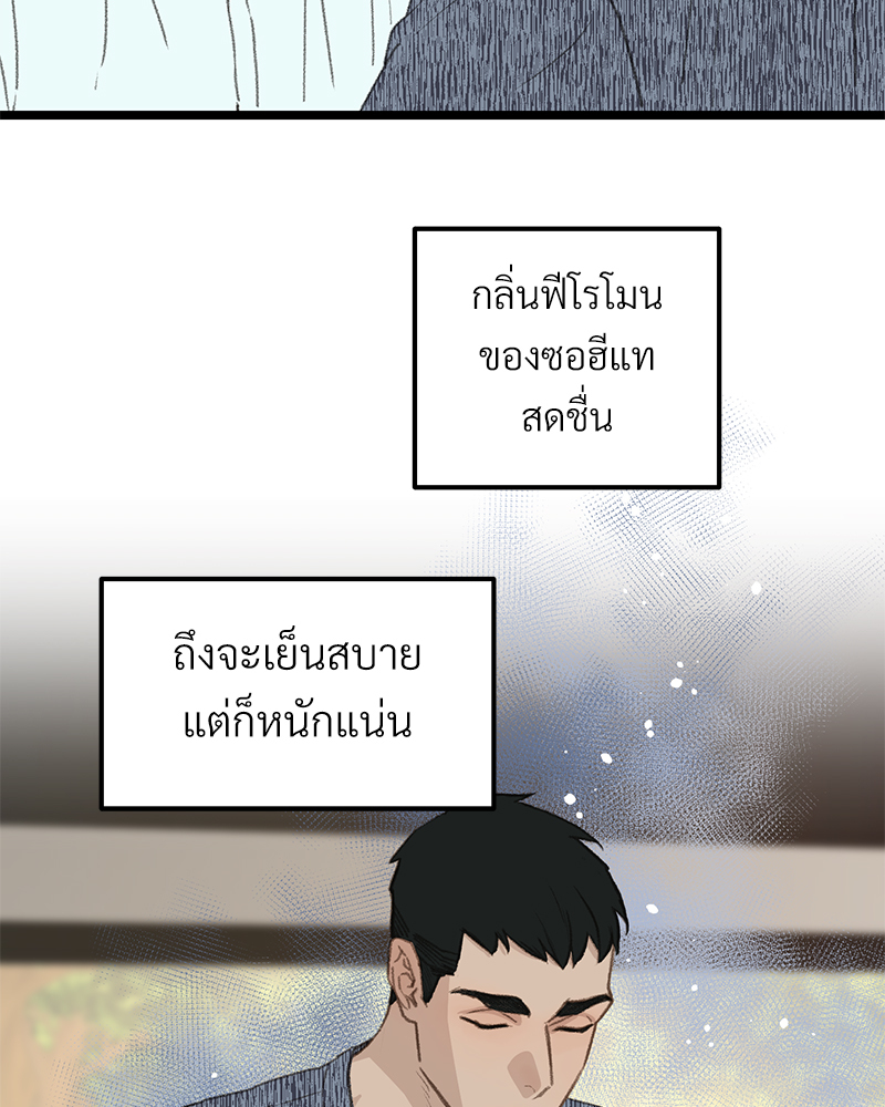 เน€เธเธ•เธซเนเธฒเธกเธฃเธฑเธเธเธเธฑเธเน€เธเธ•เนเธฒ 46 033