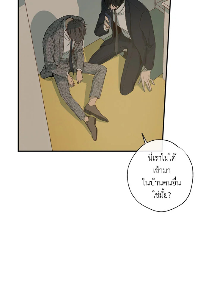 The Shape of Sympathy 1 115
