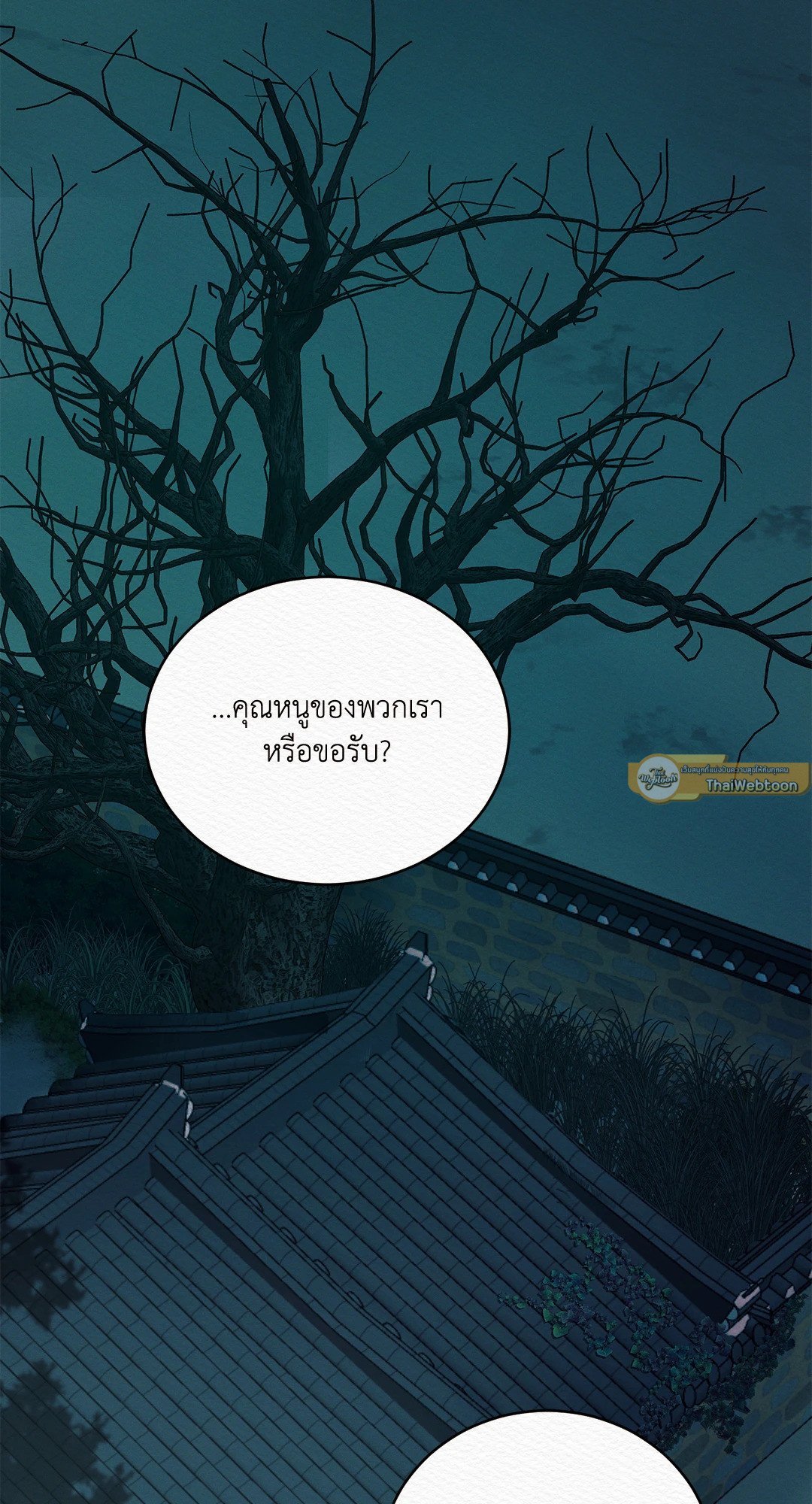 Night Song 46 09