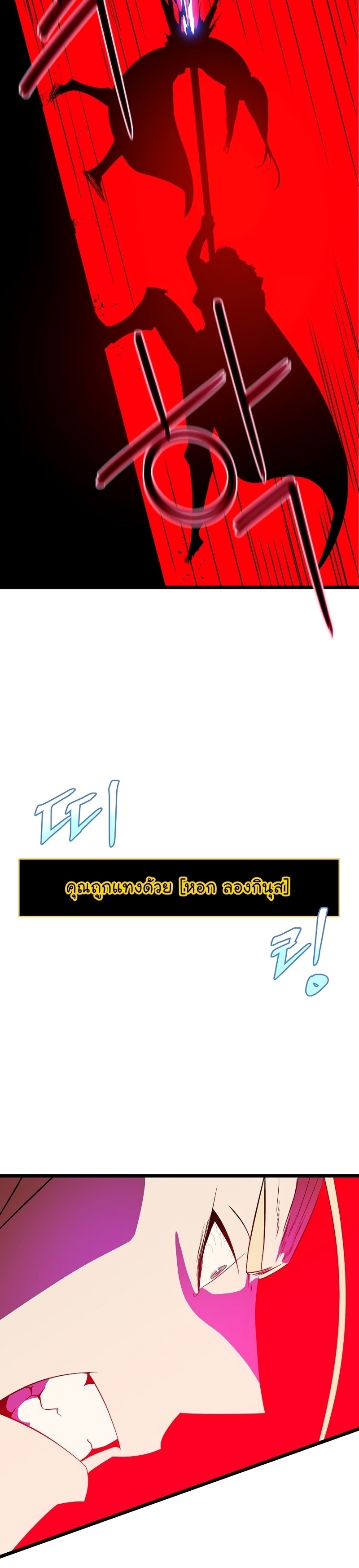 06 003
