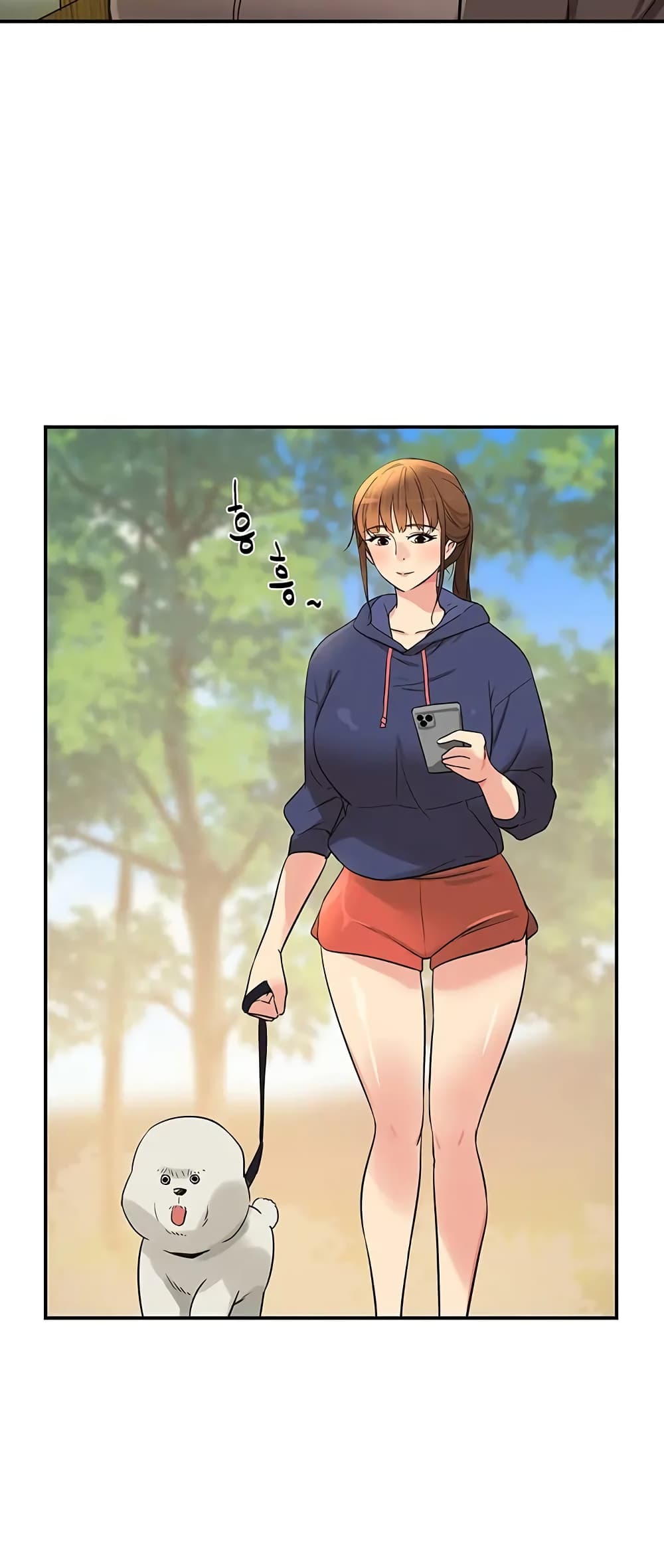 43