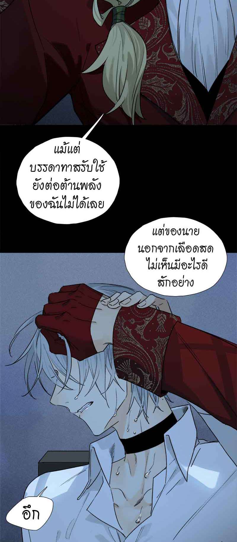 กฎรักแห่งออกัส54 08