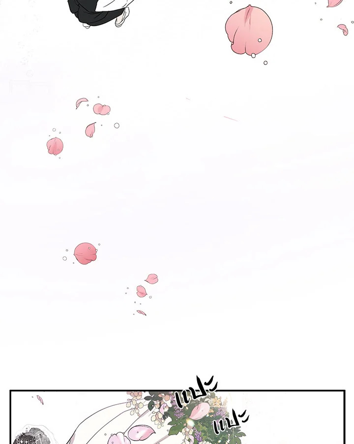 Marriage Instead of Death 1 003