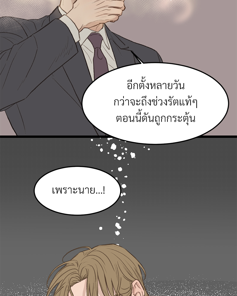 เน€เธเธ•เธซเนเธฒเธกเธฃเธฑเธเธเธเธฑเธเน€เธเธ•เนเธฒ 46 071