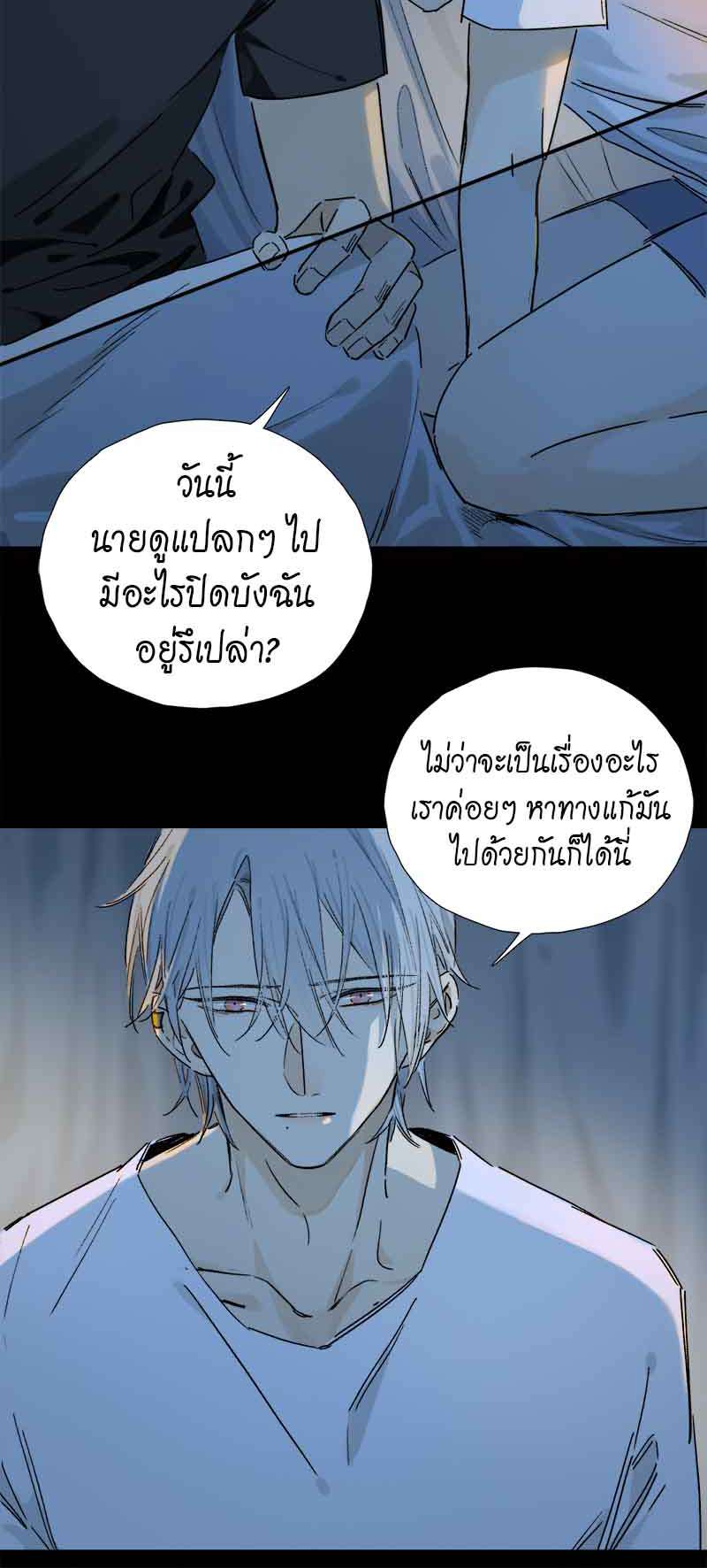 กฎรักแห่งออกัส65 08