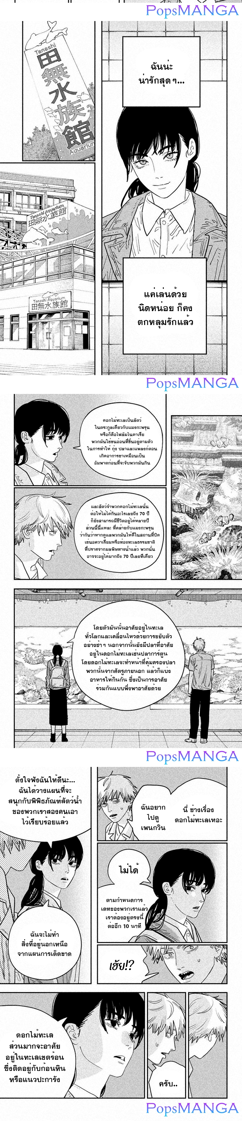 chainsaw man 113.02