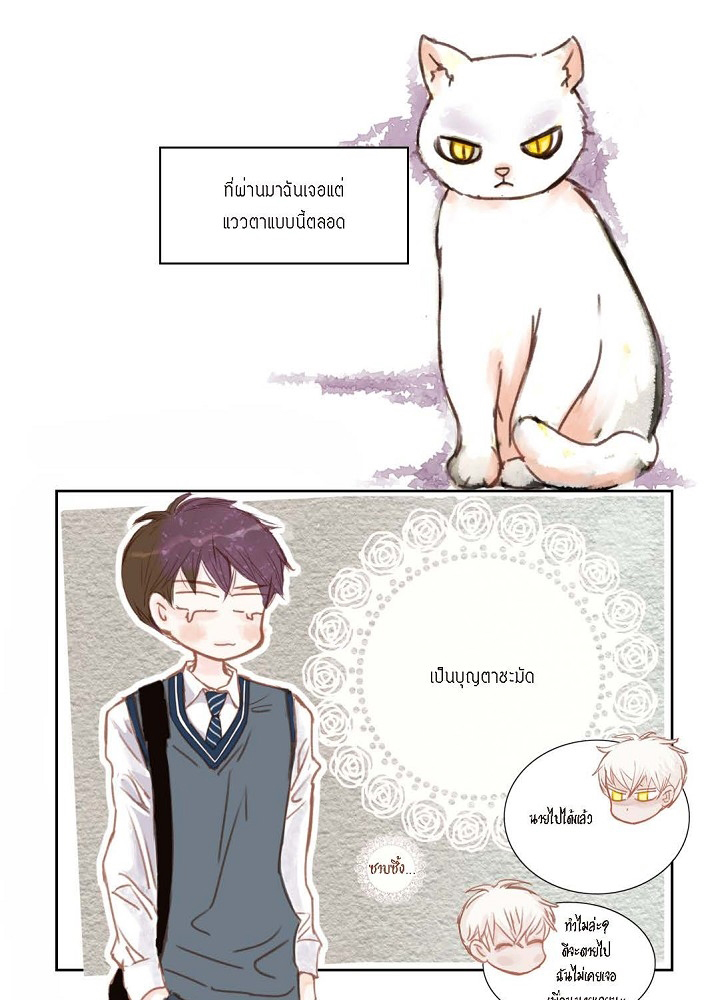วัยเรียน วัยรักของผม 1 44