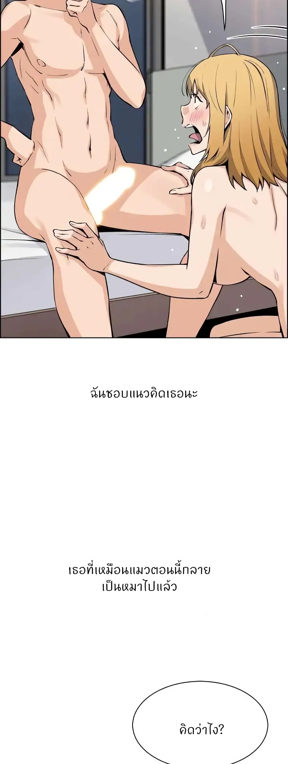 Tofu Shop Beauties03