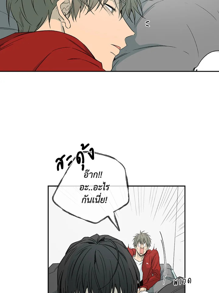The Shape of Sympathy 40 36