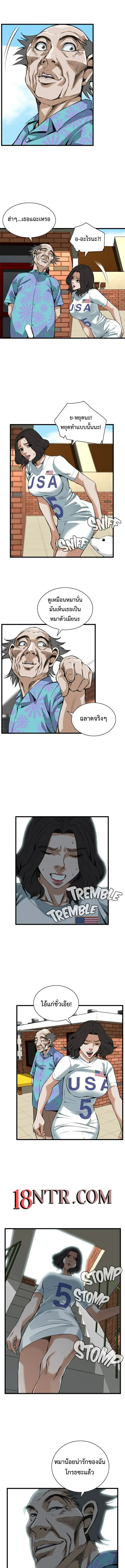 Take a peek 81 (3)