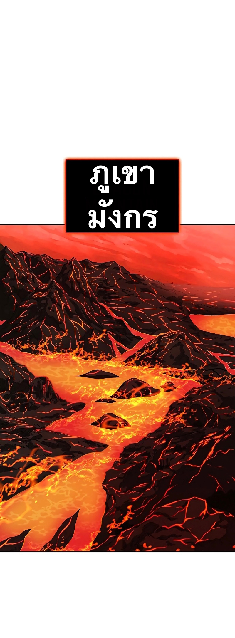 X Ash 36 (42)