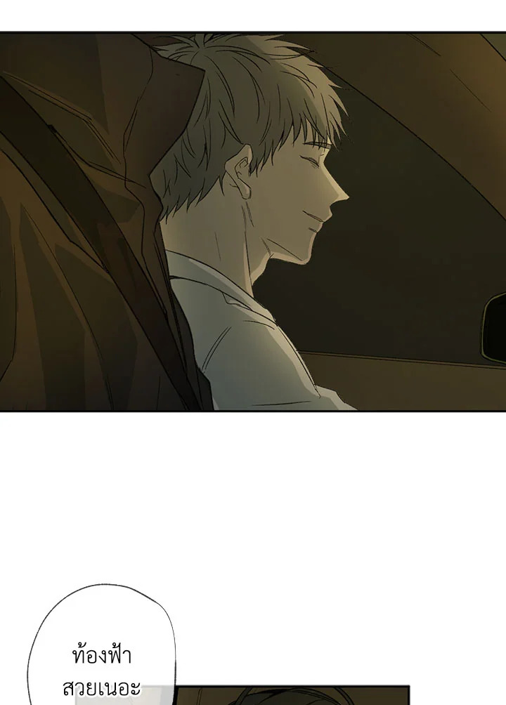 The Shape of Sympathy 30 33