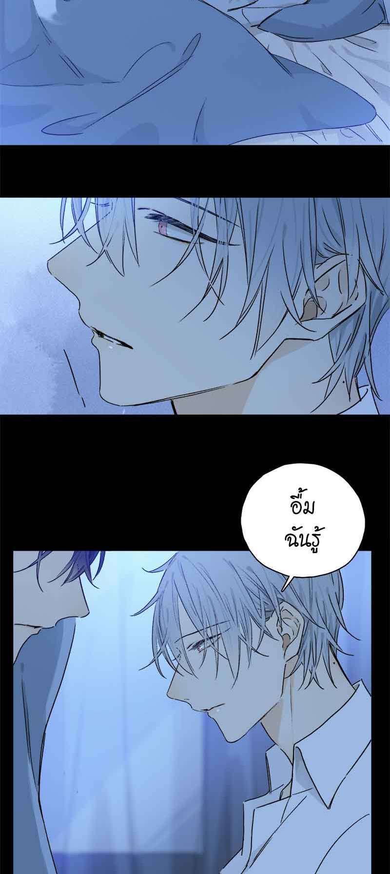 กฎรักแห่งออกัส84 12