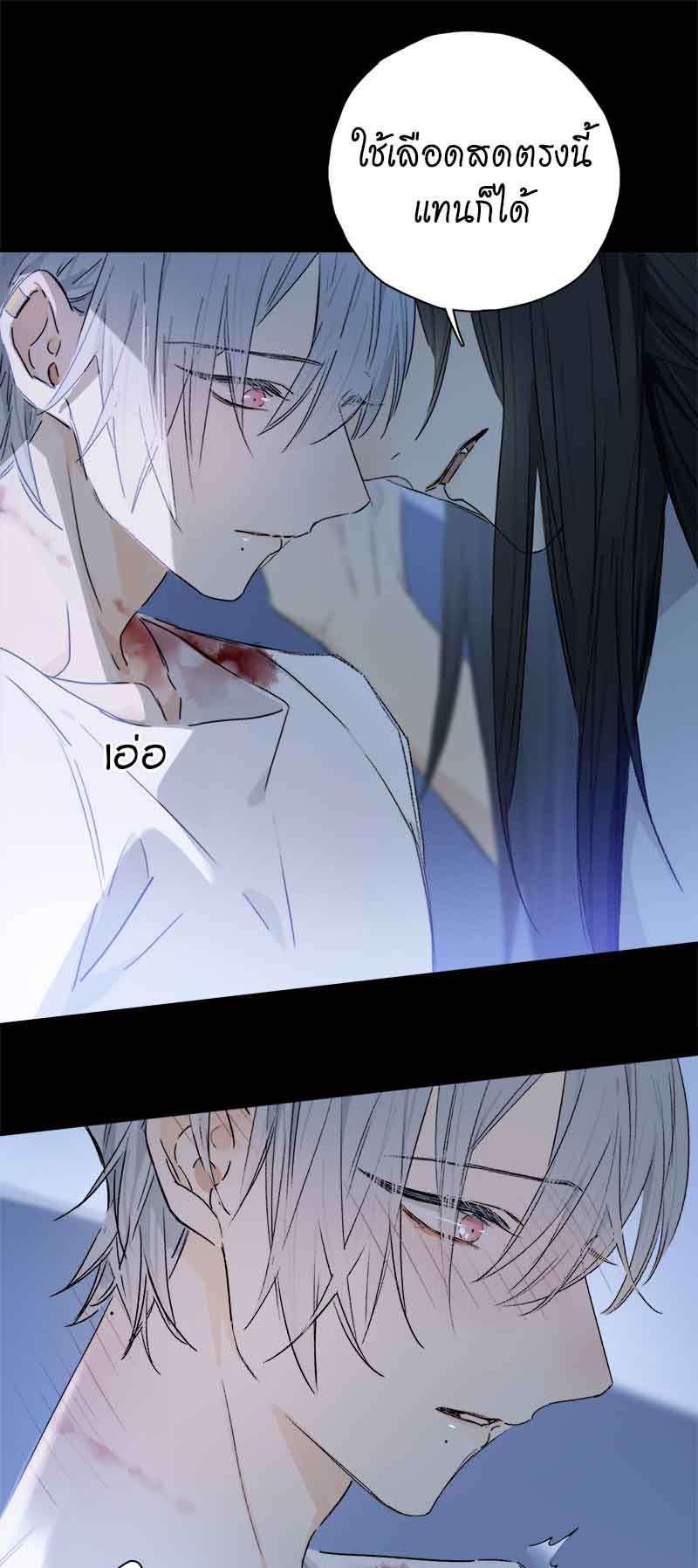 กฎรักแห่งออกัส80 02