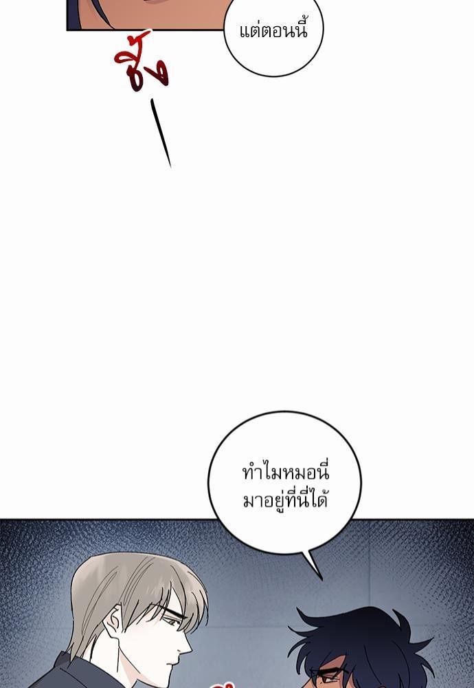 เสือขย้ำจันทร์ 24 41