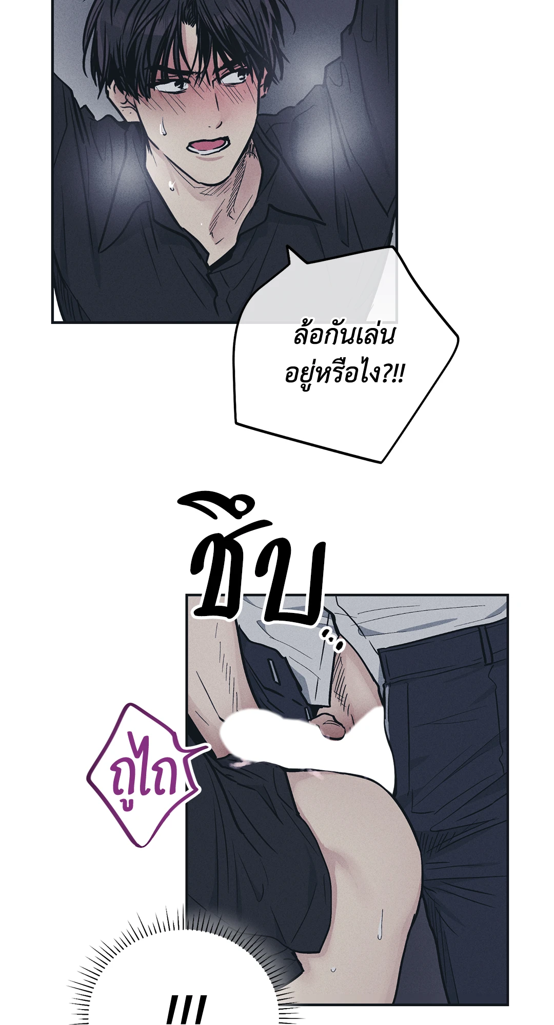 Payback 44 13
