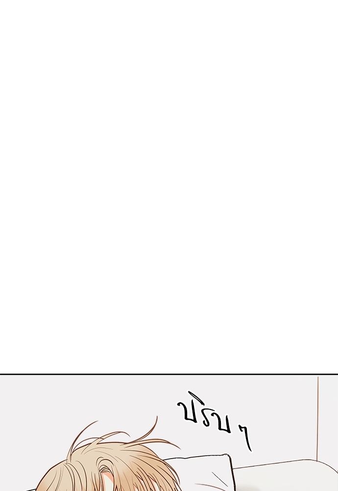 เธฃเนเธฒเธเธชเธฐเธ”เธงเธเธฃเธฑเธ 24 เธเธก 46 42