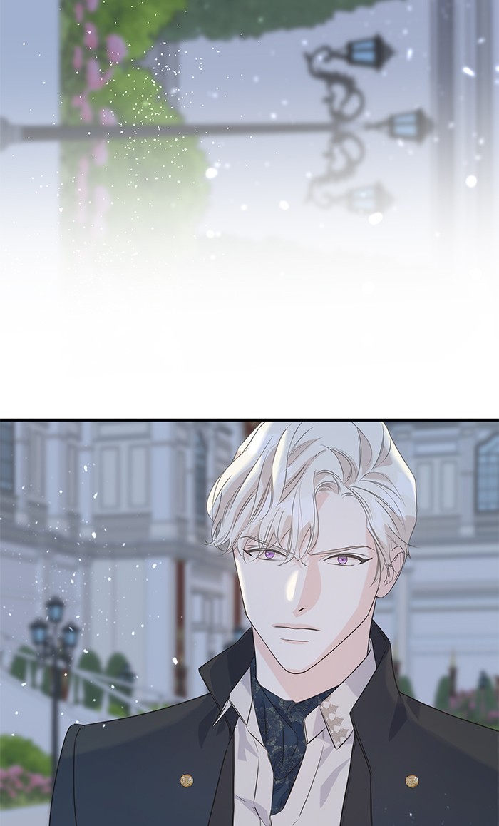Crows Like Things That Sparkle 29 (96)