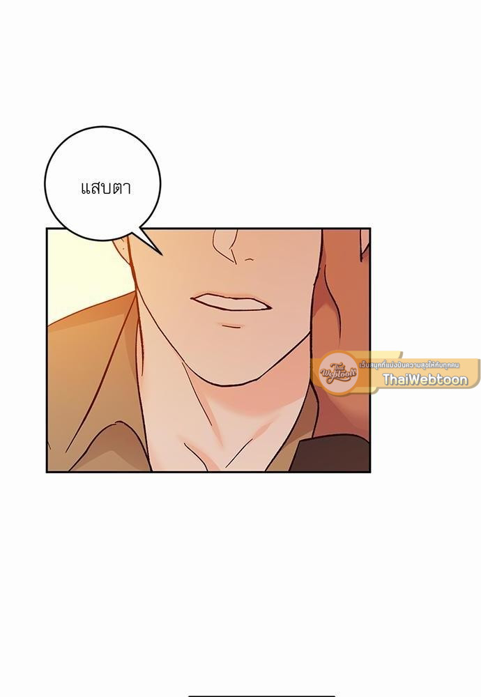 เน€เธชเธทเธญเธเธขเนเธณเธเธฑเธเธ—เธฃเน 28 66