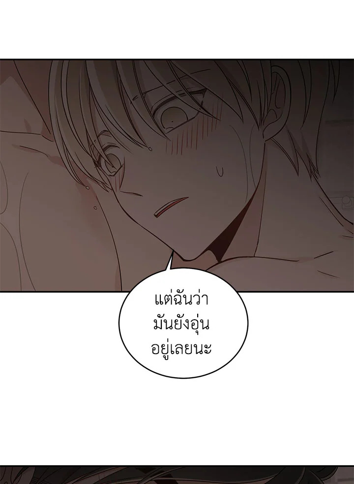 Shuffle 14 40