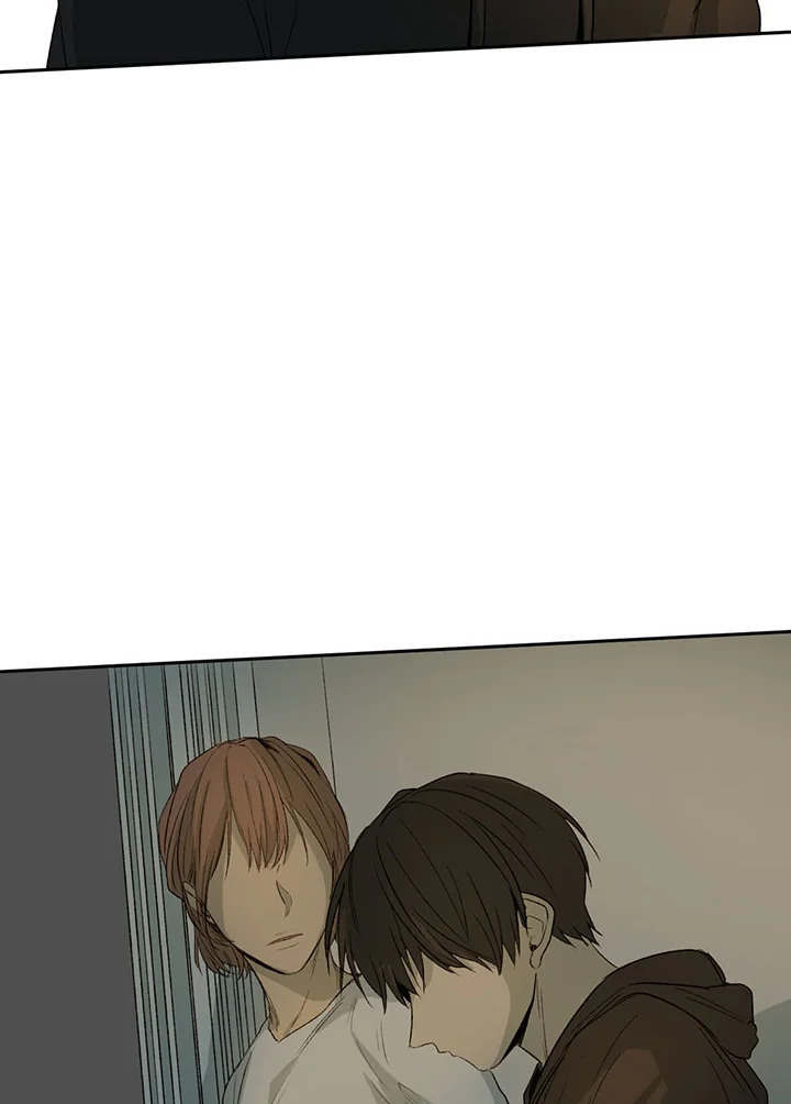 The Shape of Sympathy 4 111