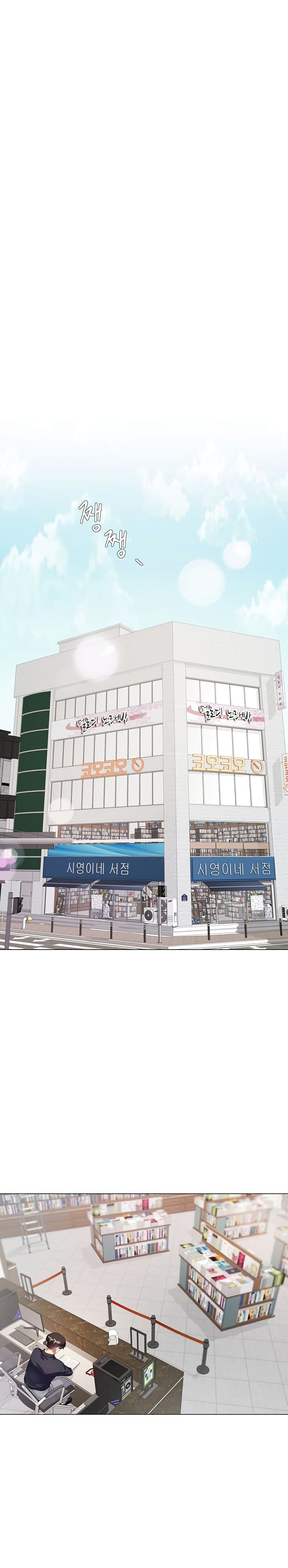 My Sister-in-lawโ€s Skirt