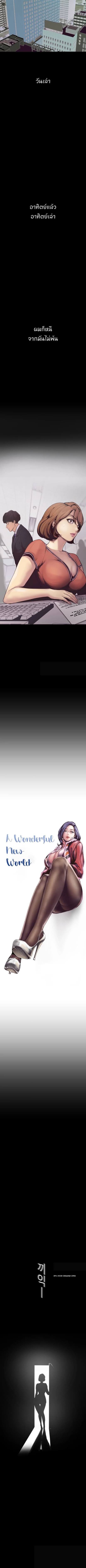 A Wonderful New World